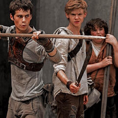 the maze runner