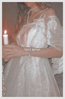 i. fairy wings